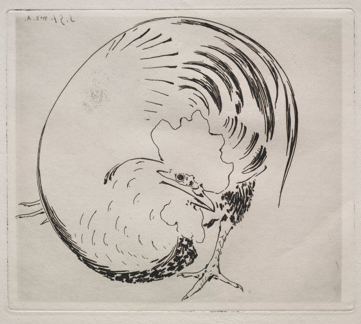 Wysoka służba: Kogut autorstwa Felix Bracquemond