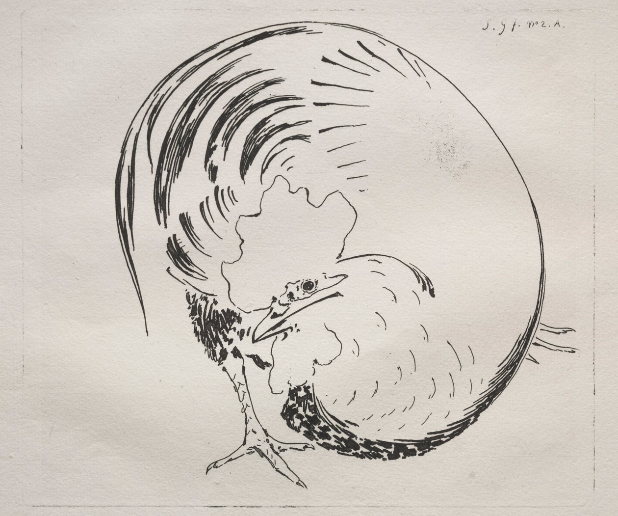 High-Fired Service: Kogut przeciwodporny, c. 1860. autorstwa Felix Bracquemond