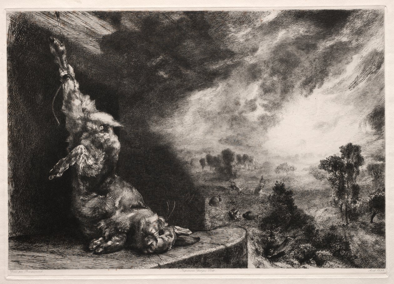 Duży królik autorstwa Felix Bracquemond