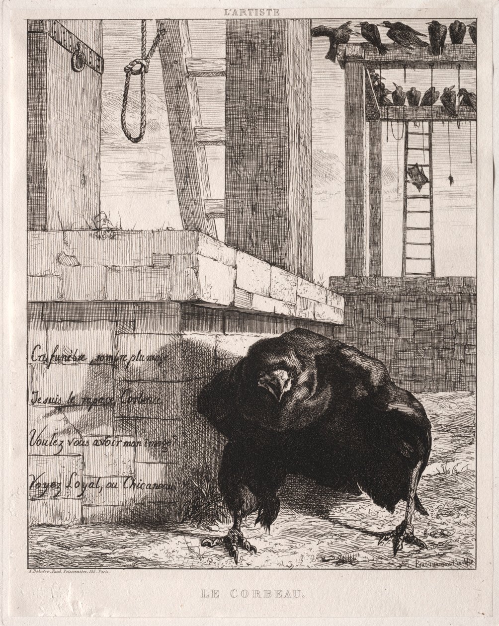 Kruk, 1854. autorstwa Felix Bracquemond