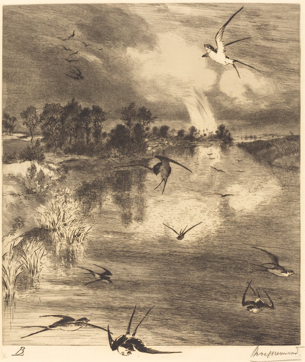 Jaskółki autorstwa Felix Bracquemond