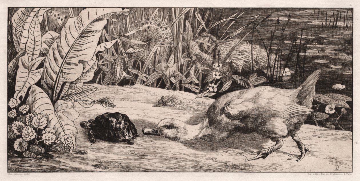 Nieznane, 1862. autorstwa Felix Bracquemond