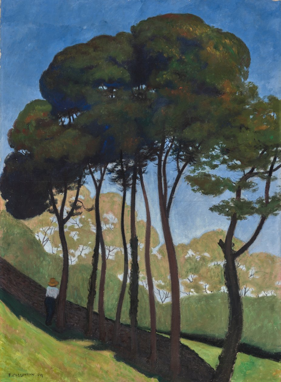  autorstwa Felix Edouard Vallotton