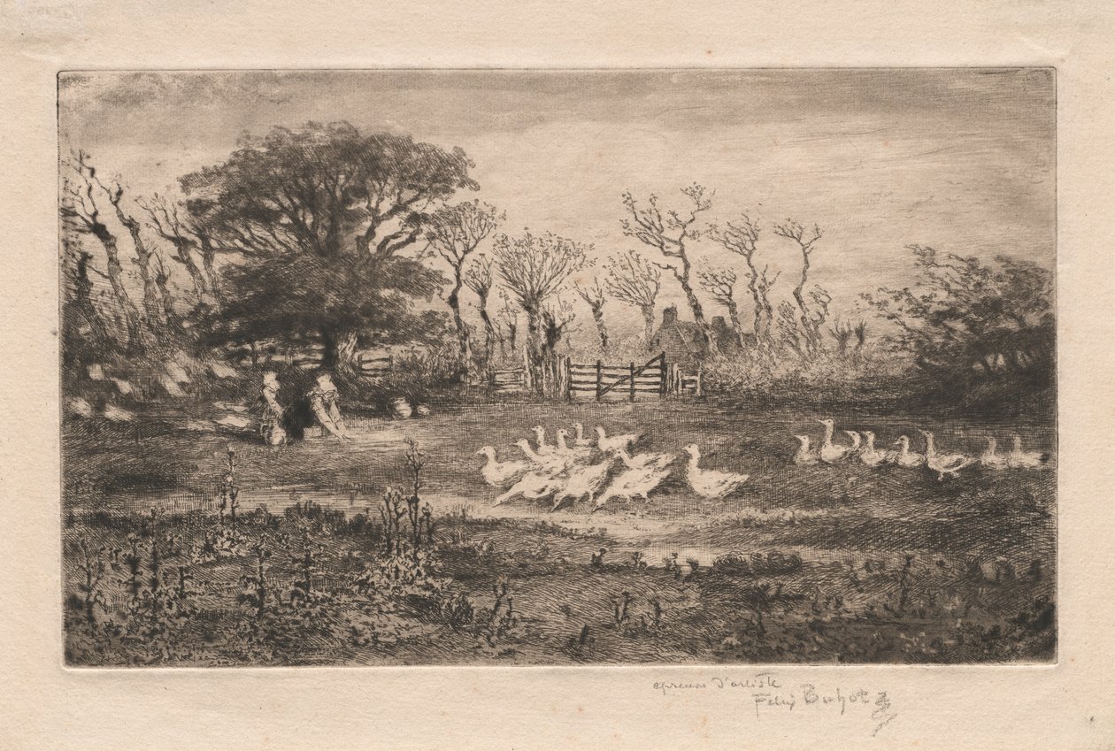 Gęsi, 1887. autorstwa Felix Hilaire Buhot
