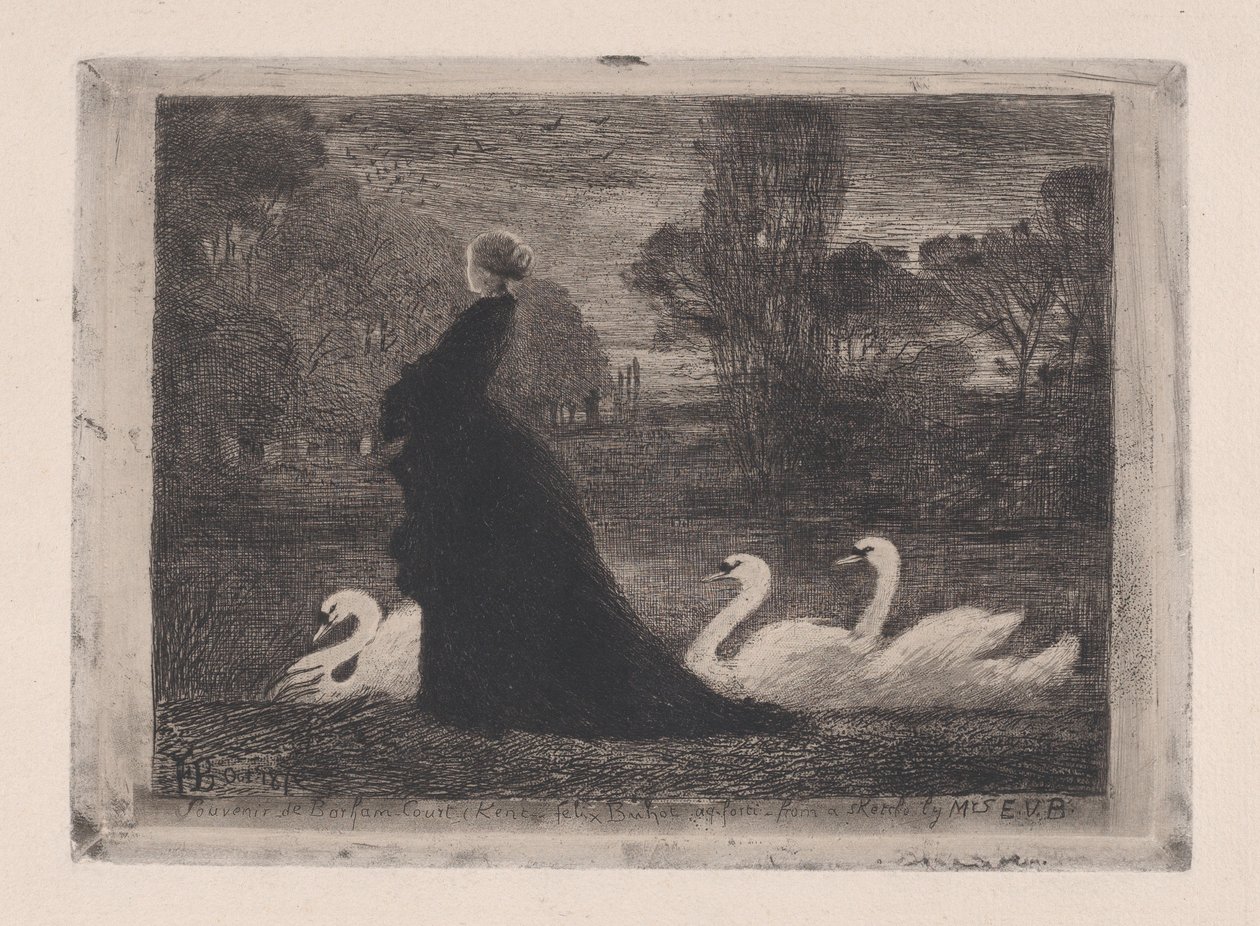 Pani Łabędzi, 1879. autorstwa Felix Hilaire Buhot