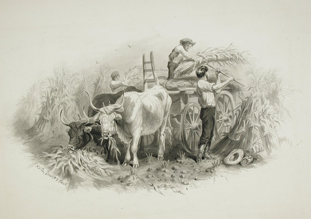 Scena sianokosów autorstwa Felix Octavius Carr Darley