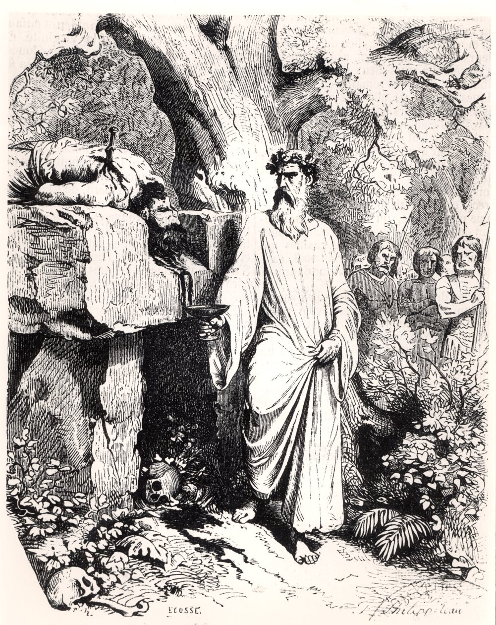 Ofiara ludzka złożona przez galijskiego druida, z „Histoire de France” L.P. Anquetila, 1851 autorstwa Felix Philippoteaux