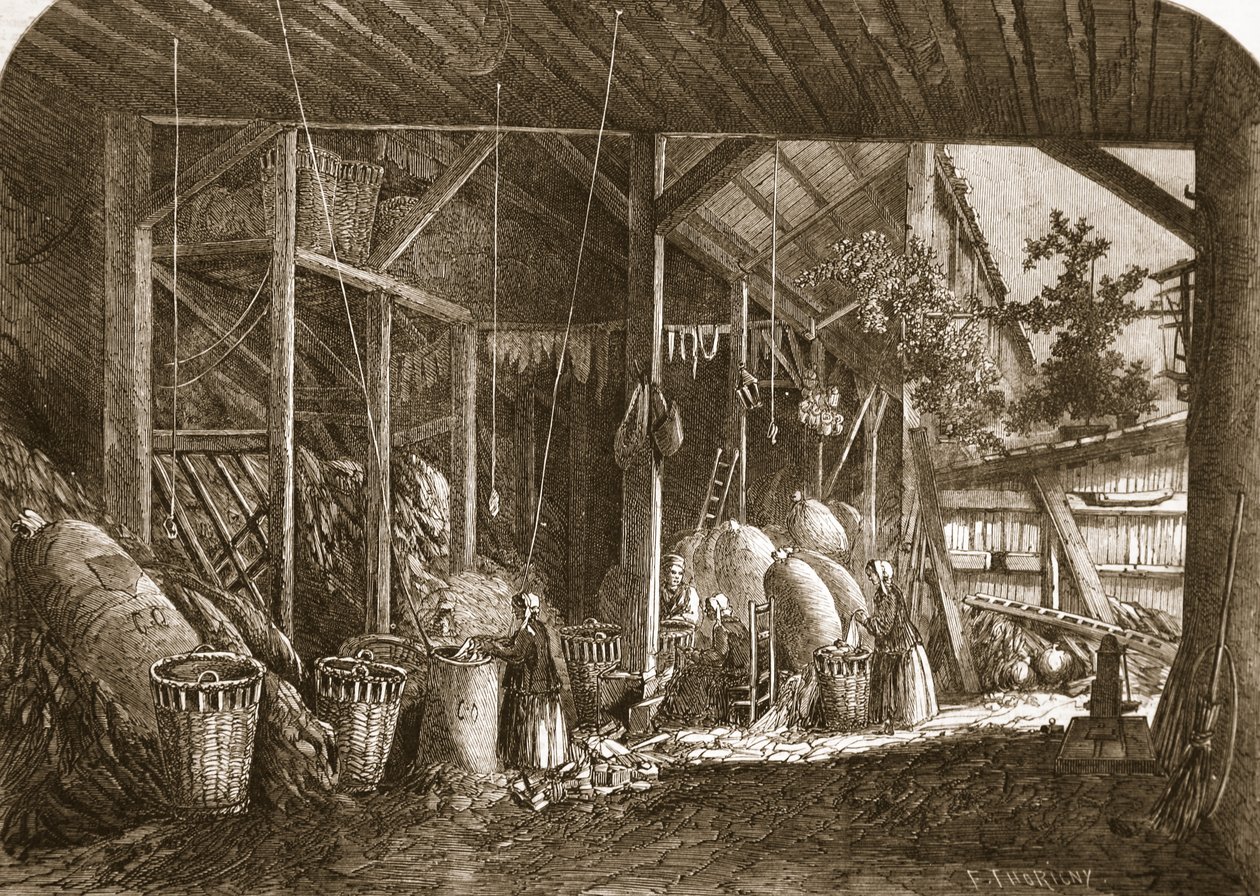 Magazyn szmat w dzielnicy Mouffetard, w Paryżu, ilustracja z "The Illustrated London News", 8 czerwca 1861 r. autorstwa Felix Thorigny