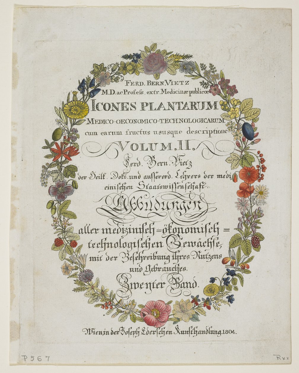 Frontispiece i strona tytułowa, tom II, z Icones Plantarum Medico-Oeconomico-Technologicarum cum Earum Fructus ususque Descriptione, 1804 (rycina ręcznie kolorowana) autorstwa Ferdinand Bernhard Vietz
