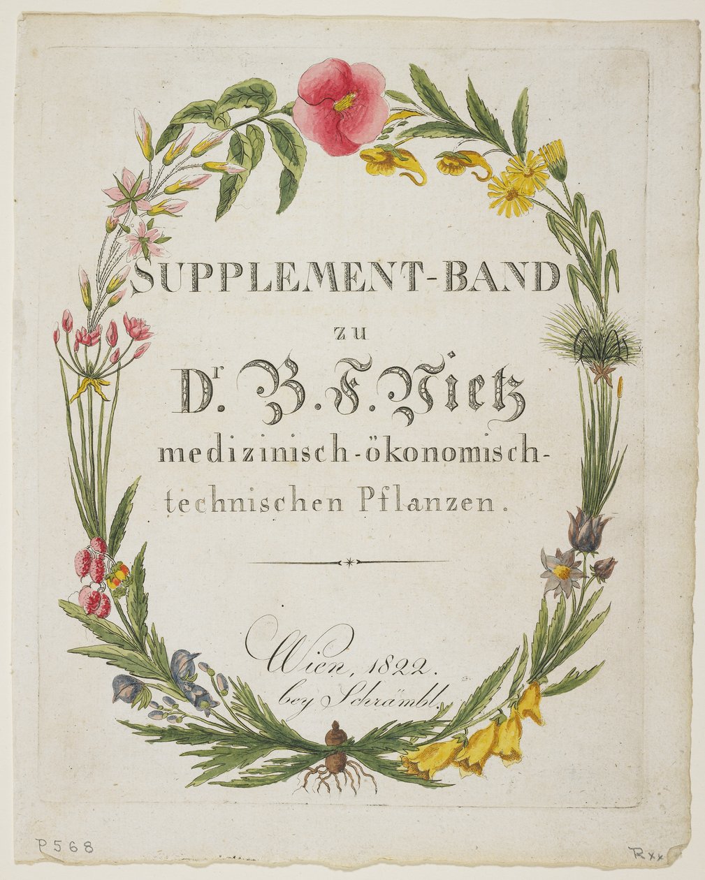 Frontispiece i strona tytułowa do Supplement-Band zu Dr. B. F. Vietz medizinisch-okonomisch-technischen Pflanzen, z Icones Plantarum Medico-Oeconomico-Technologicarum cum Earum Fructus ususque Descrip autorstwa Ferdinand Bernhard Vietz