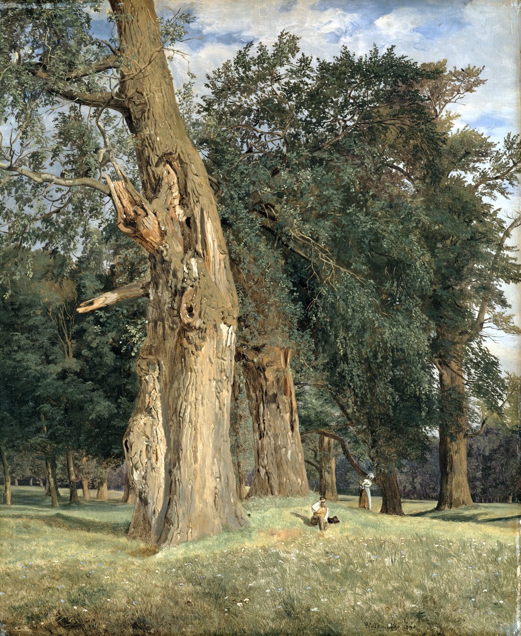 Stare wiązy w Praterze, 1831 autorstwa Ferdinand Georg Waldmuller