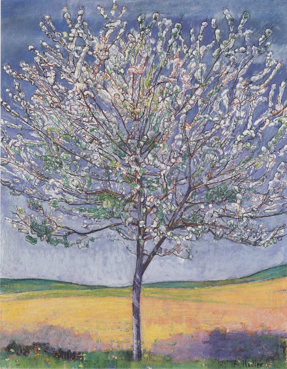 Kwitnąca wiśnia autorstwa Ferdinand Hodler