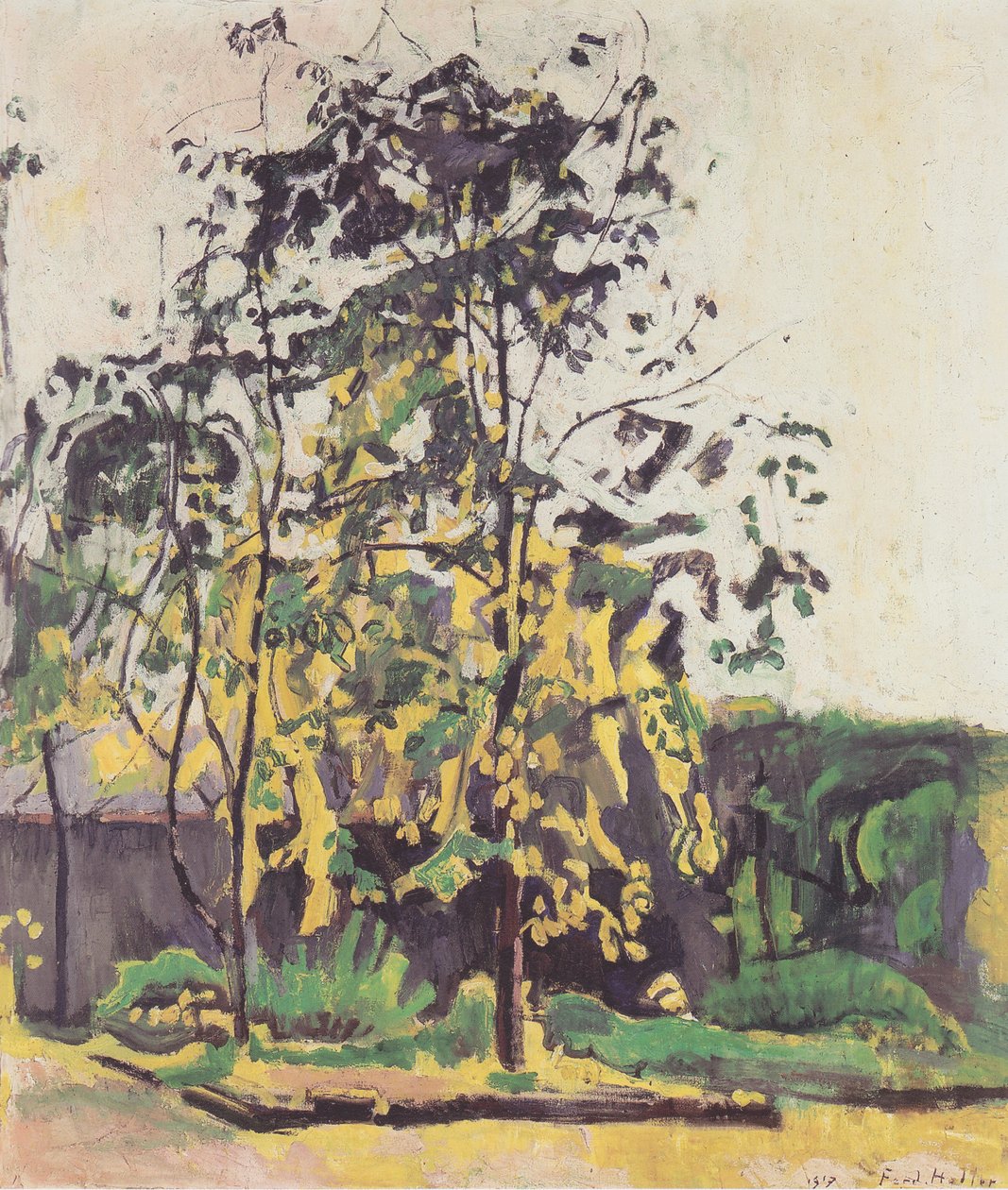 Drzewa w ogrodzie studyjnym autorstwa Ferdinand Hodler