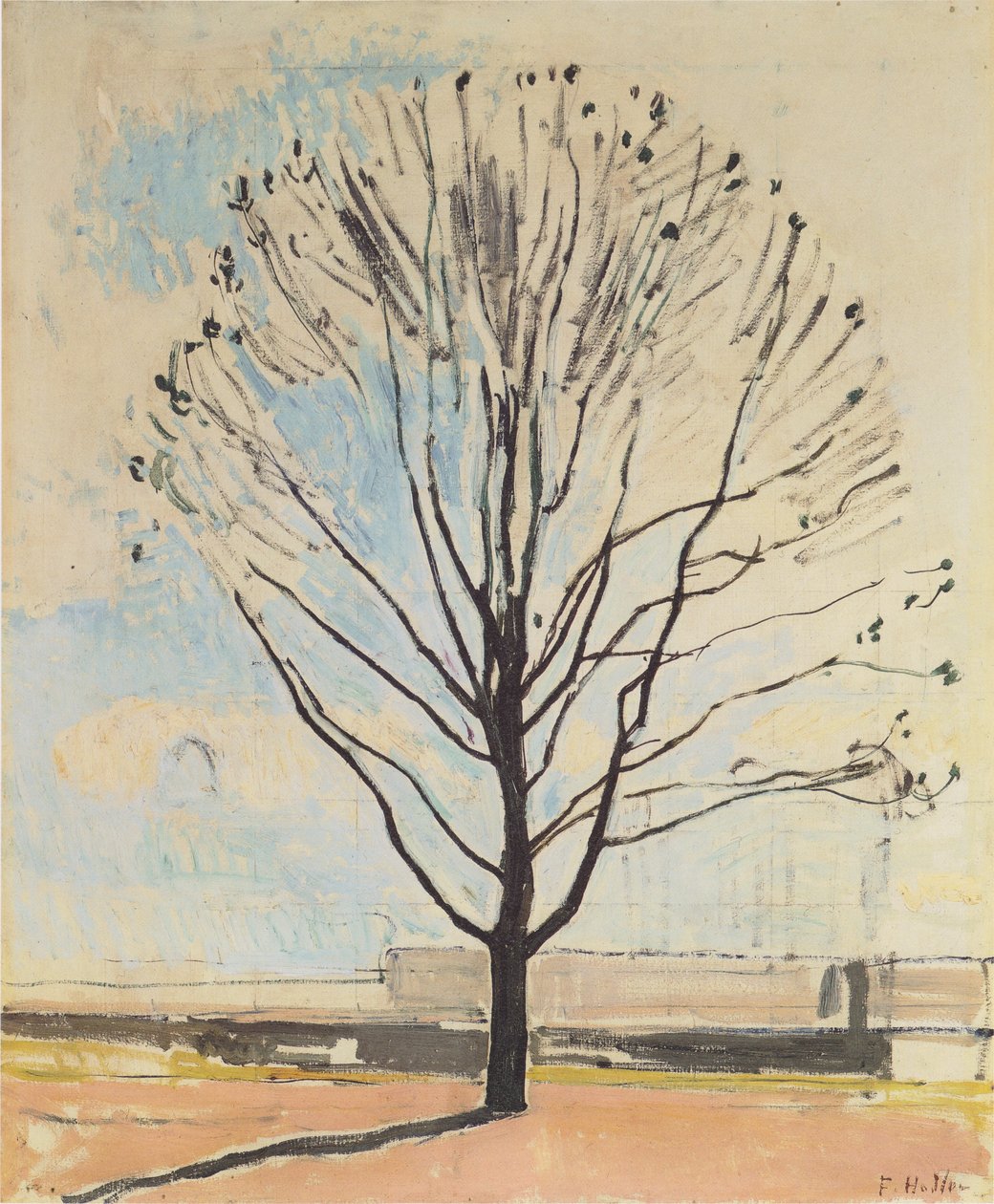 Nagie drzewo autorstwa Ferdinand Hodler
