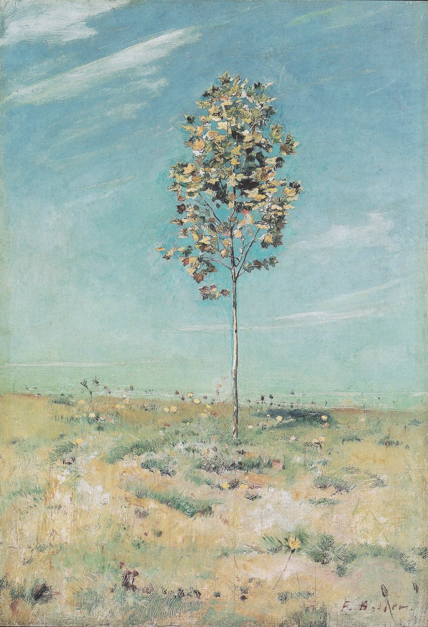 Mały platan autorstwa Ferdinand Hodler