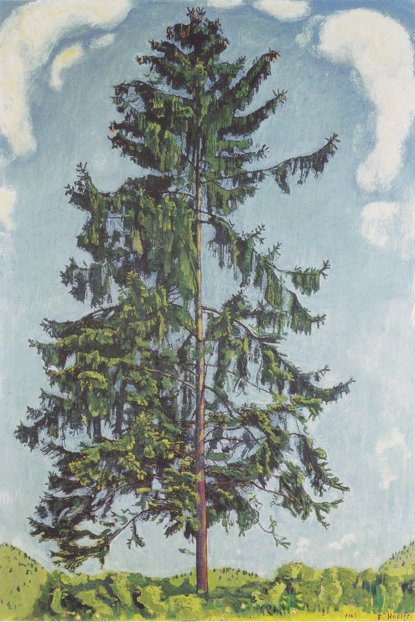 Jodła w Chamby2 autorstwa Ferdinand Hodler