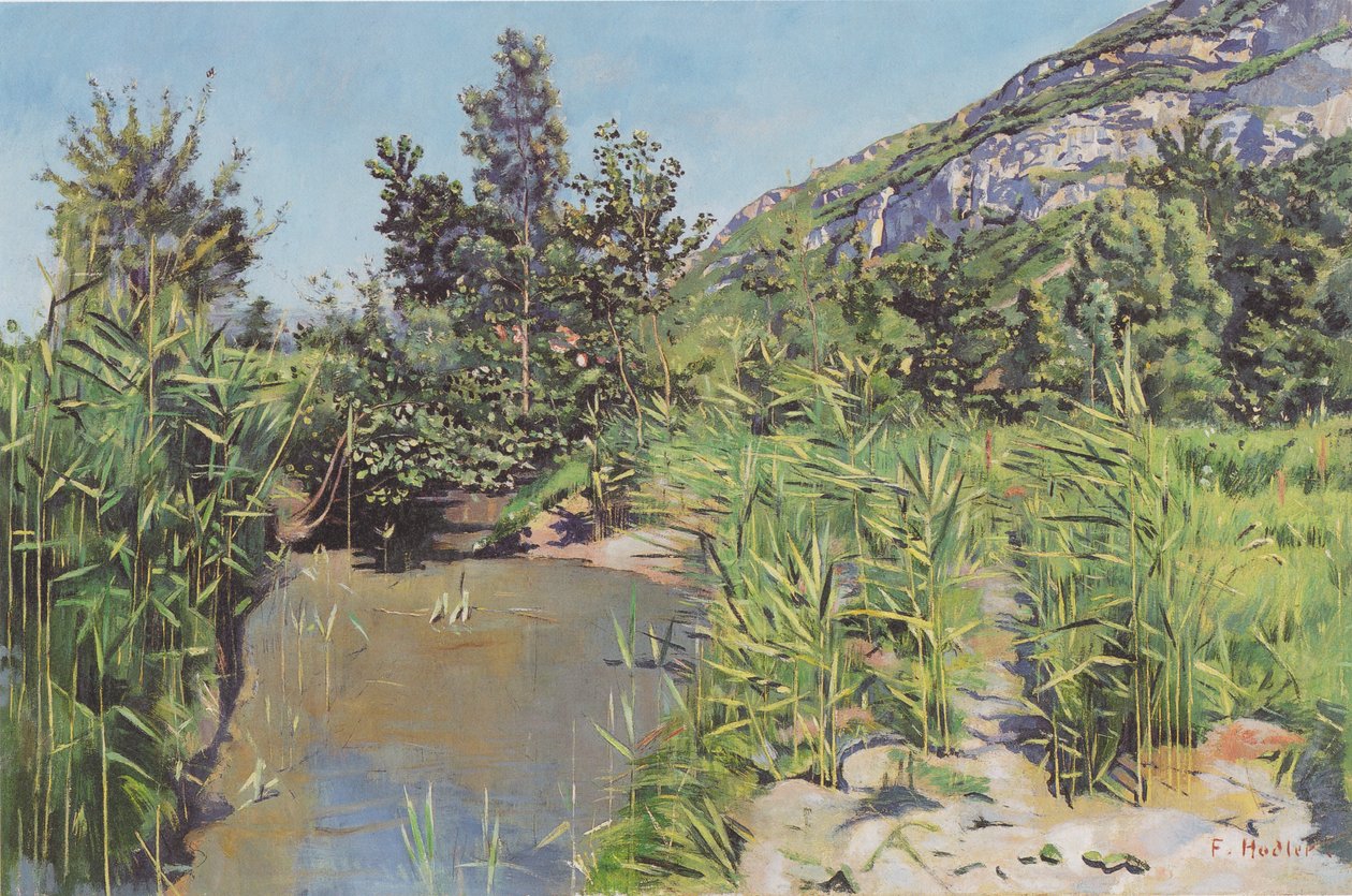 Krajobraz stawu w pobliżu Veyrier autorstwa Ferdinand Hodler