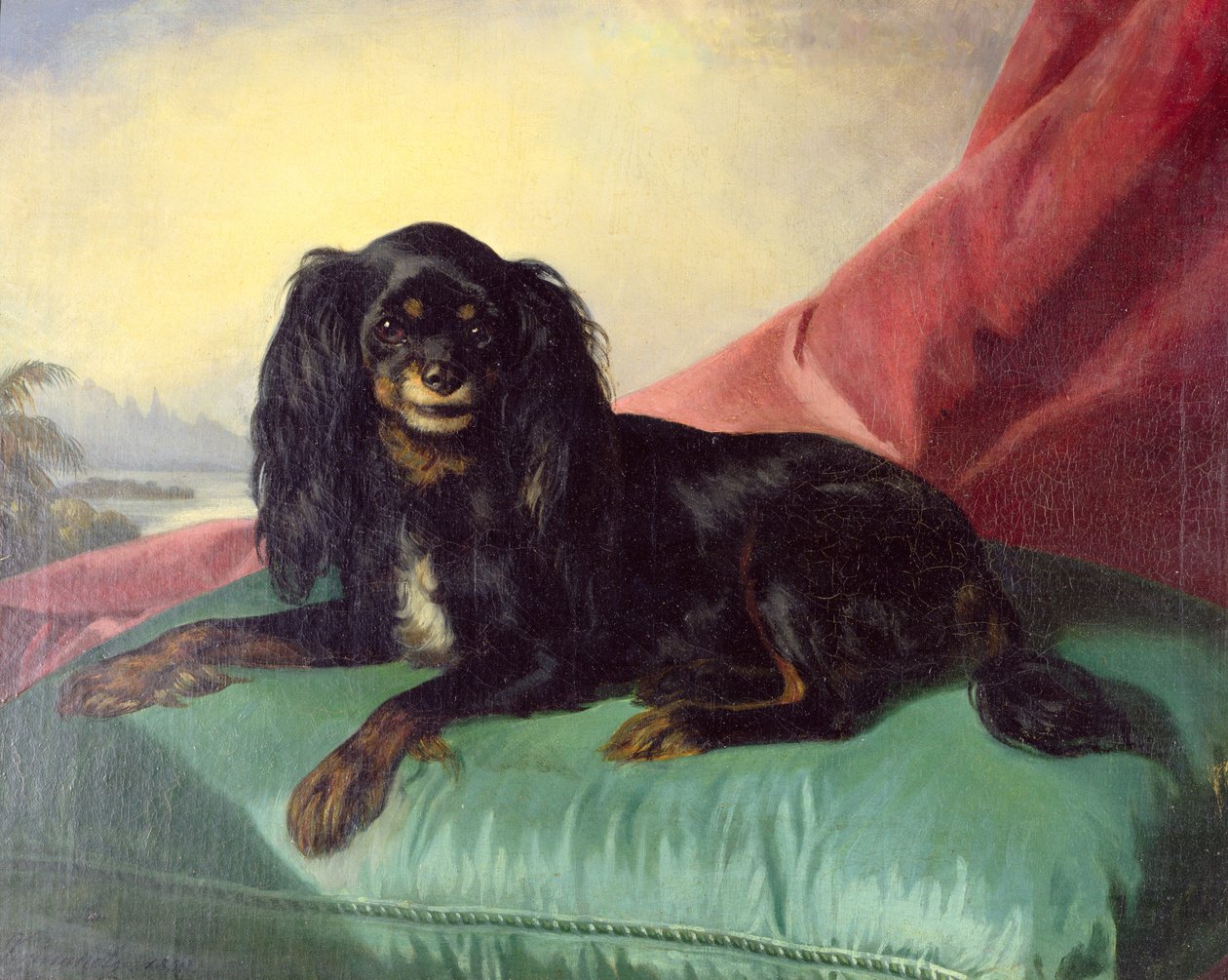 King Charles Spaniel na zielonej poduszce autorstwa Ferdinand Krumholz