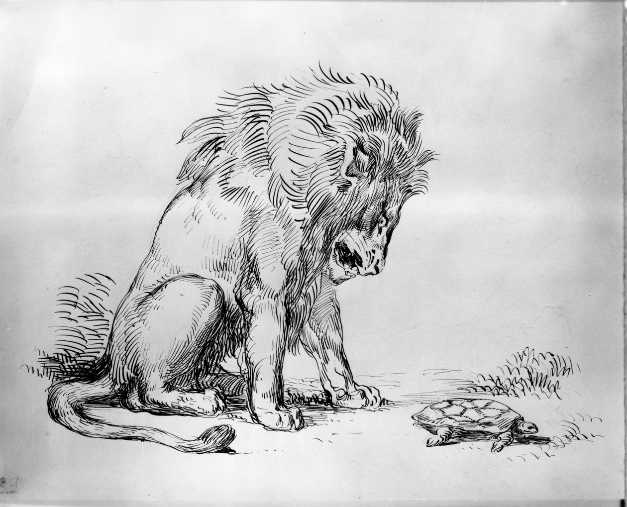 Lew i Żółw autorstwa Ferdinand Victor Eugene Delacroix