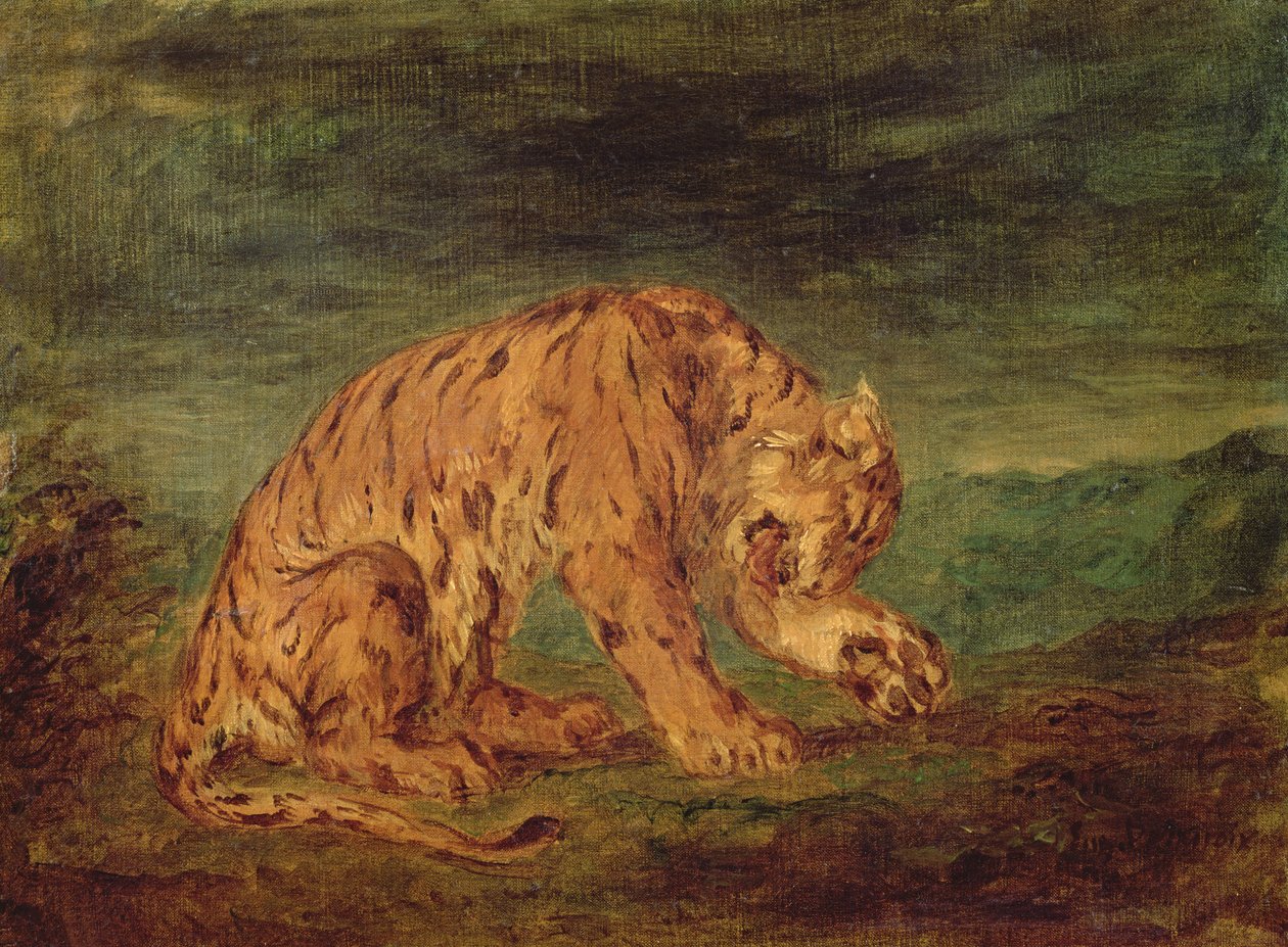 Tygrys liże łapę autorstwa Ferdinand Victor Eugene Delacroix
