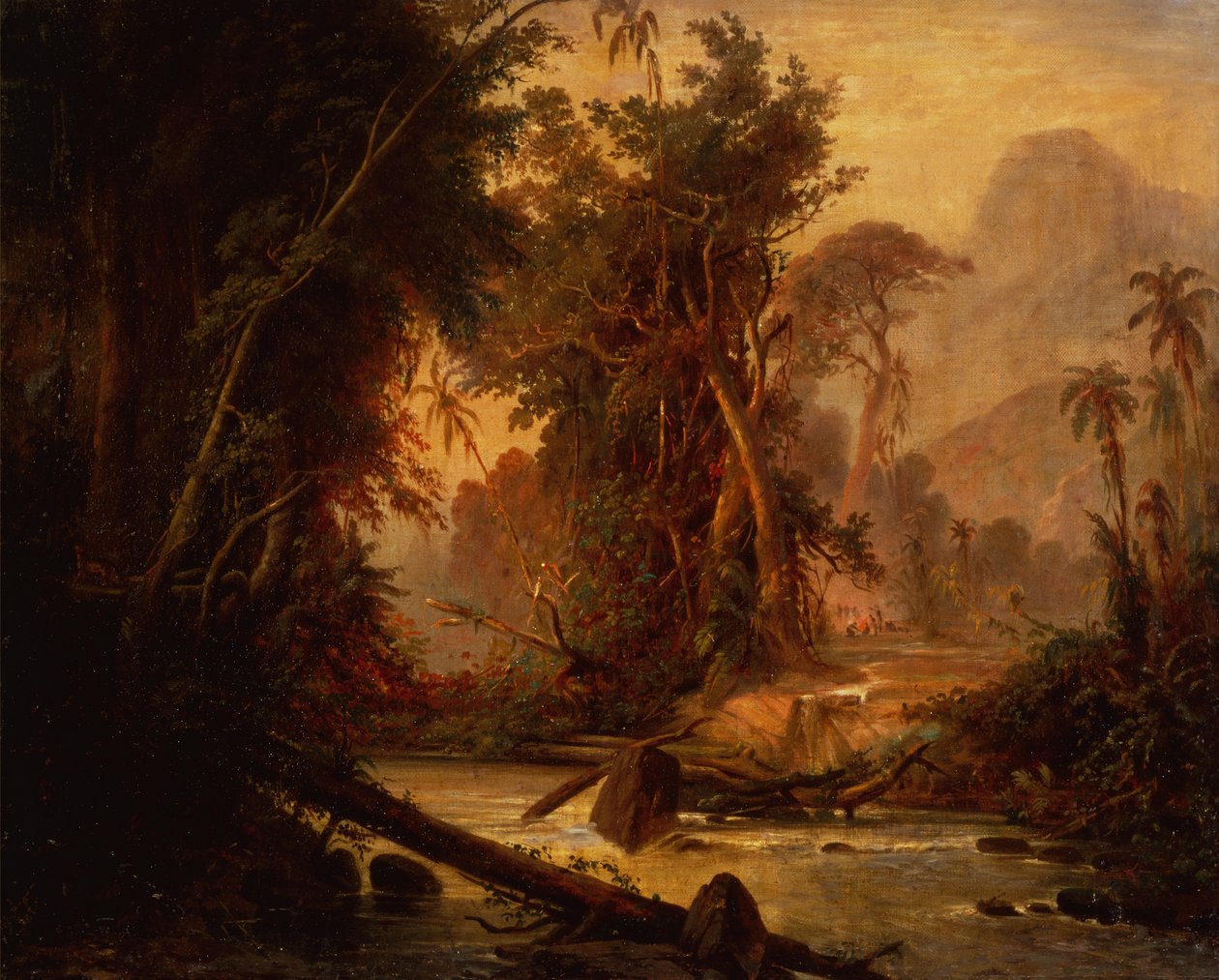 Las tropikalny w Wenezueli (olej na płótnie) autorstwa Ferdinand Bellermann