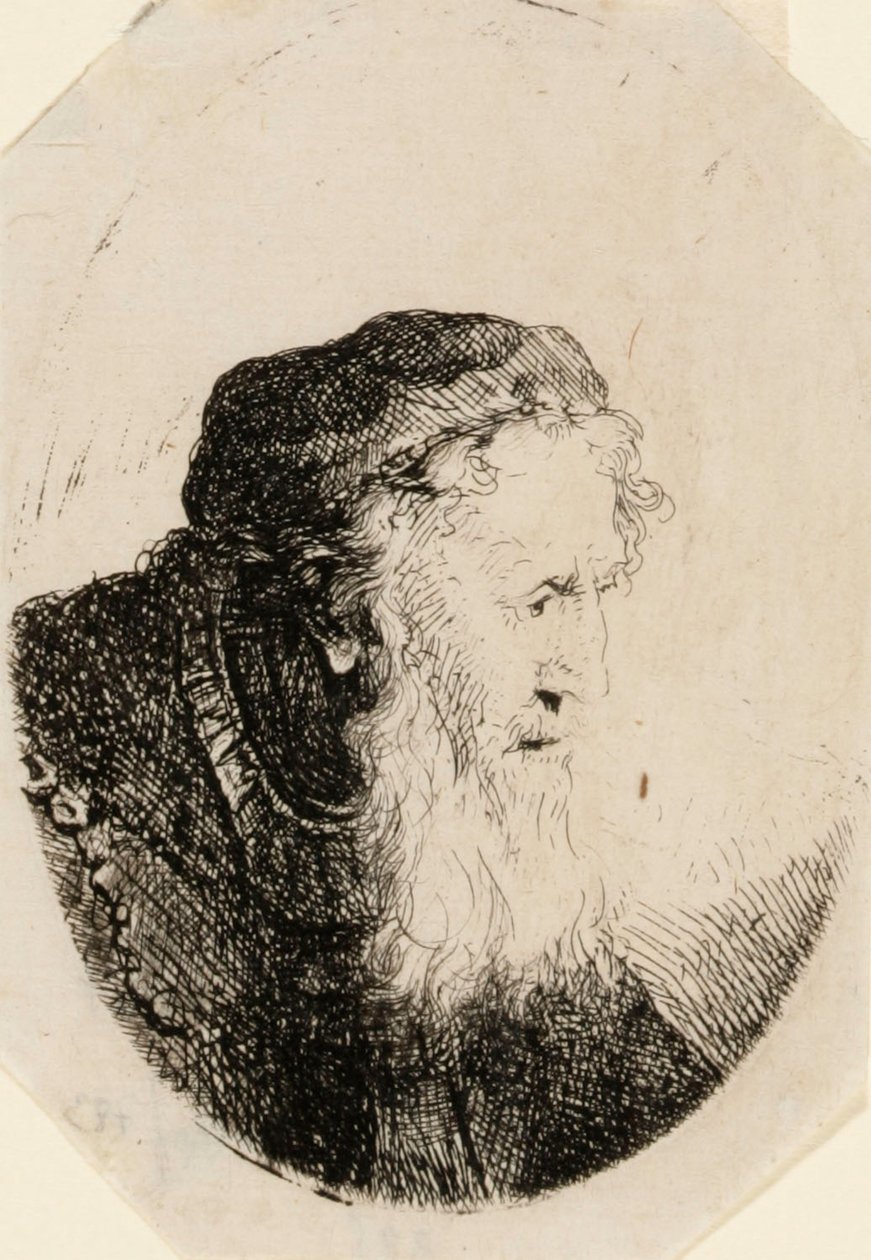 Stary mężczyzna z falującą brodą autorstwa Ferdinand Bol