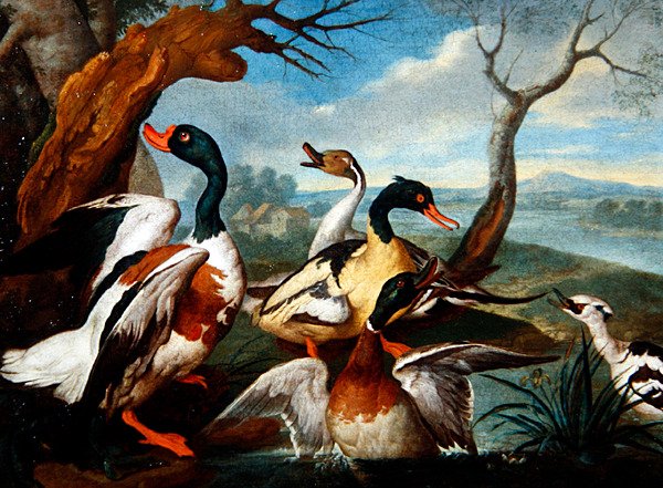 Kaczki w pejzażu rzeki (olej na płótnie) autorstwa Ferdinand Phillip de Hamilton