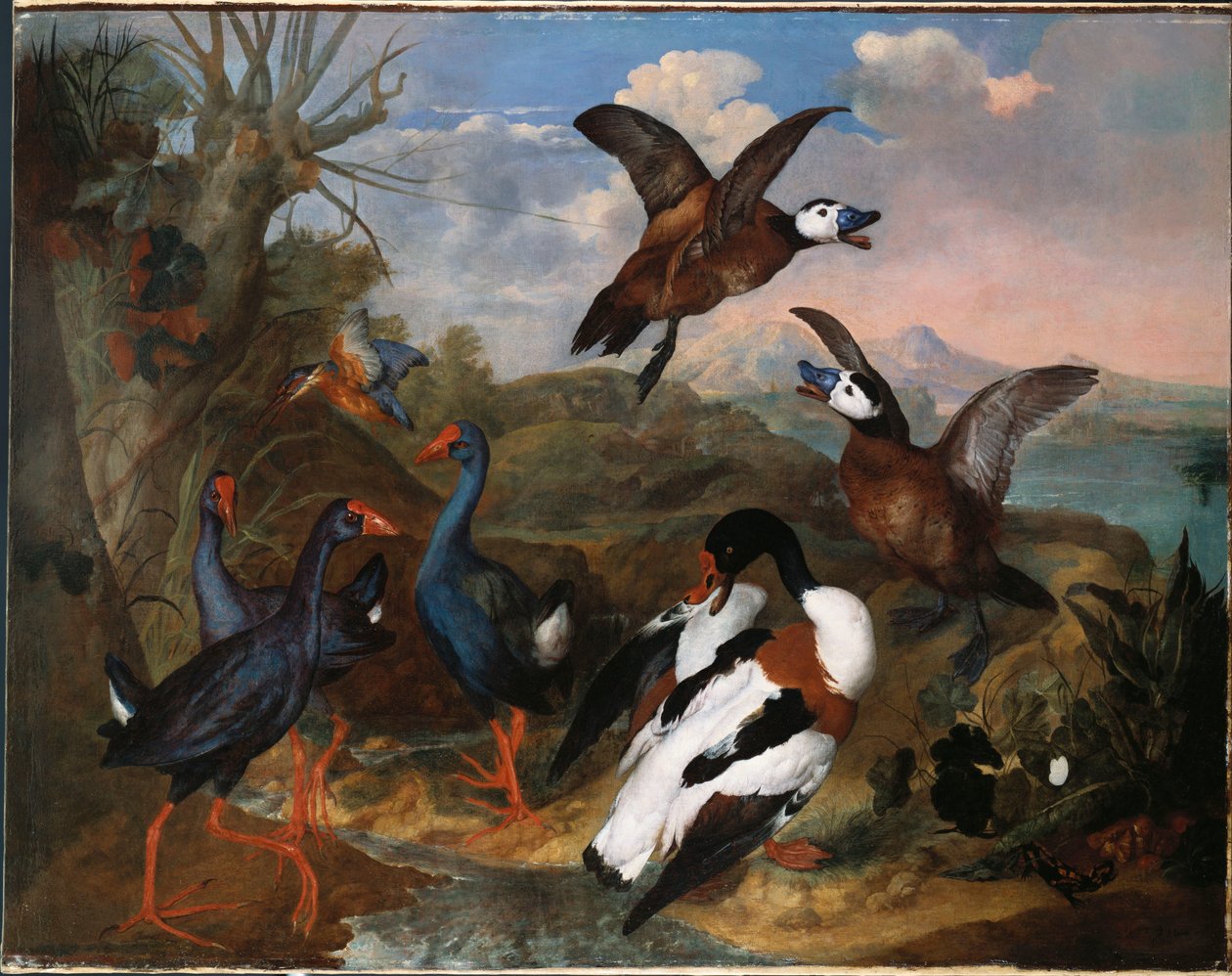 Kaczki muszli i inne ptactwo w krajobrazie, 1720 autorstwa Ferdinand Phillip de Hamilton