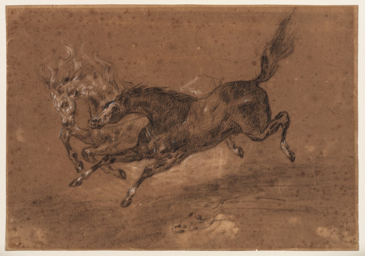 Biegnące konie (recto); nagi brodaty mężczyzna w pozycji siedzącej (verso), ok. 1800-1899 (czarno-biała kreda (recto), czarno-biała kreda i brązowe pranie (verso), na brązowym papierze) autorstwa Ferdinand Victor Eugene (follower of) Delacroix