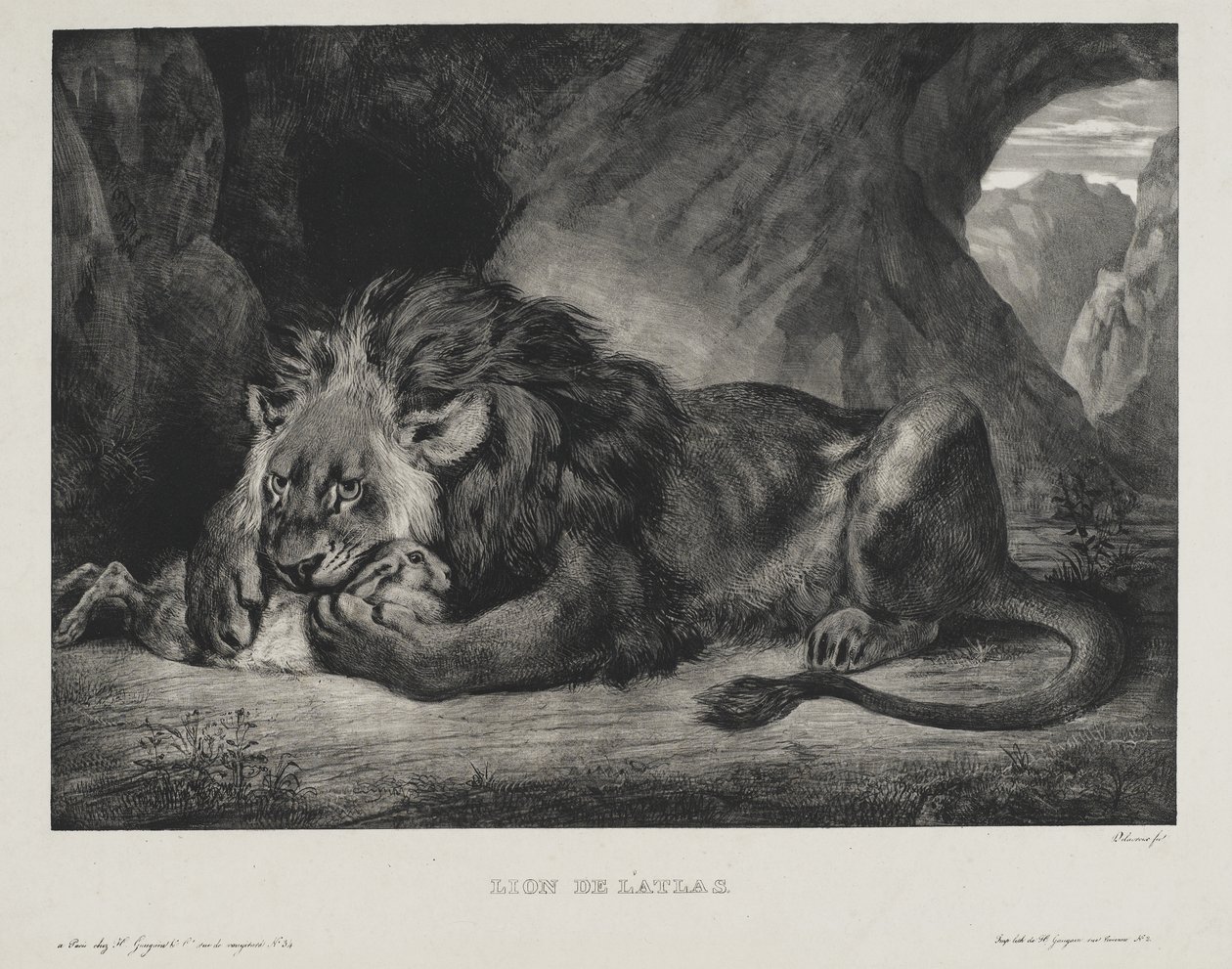 Lew z Atlasu, 1829 autorstwa Ferdinand Victor Eugene Delacroix