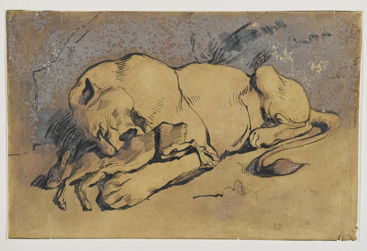 Lwica pożerająca Królika (pióro i atrament z czerwonawym rozmyciem na brązowym papierze) autorstwa Ferdinand Victor Eugene Delacroix