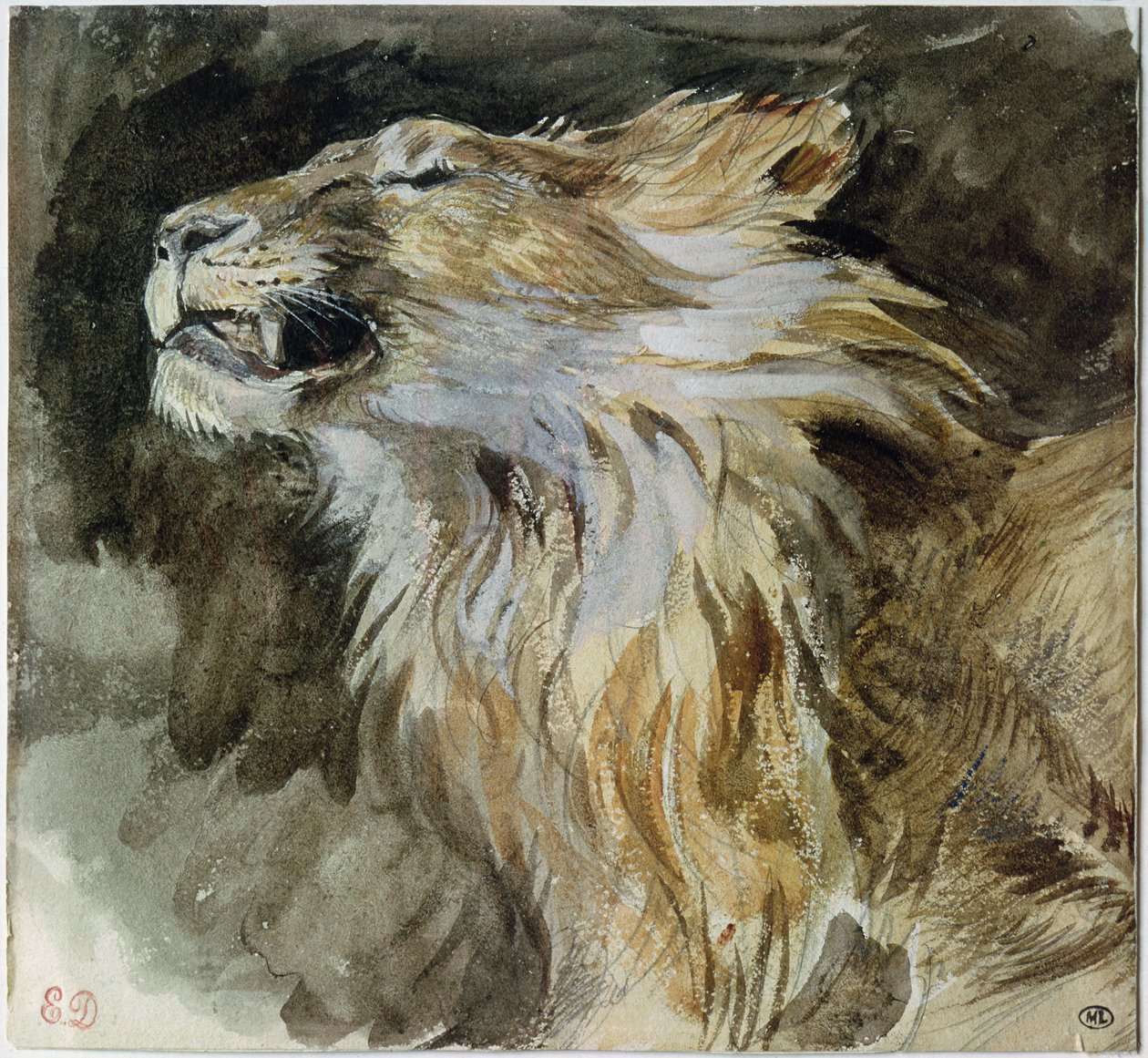 Głowa lwa (akwarela na papierze) autorstwa Ferdinand Victor Eugene Delacroix
