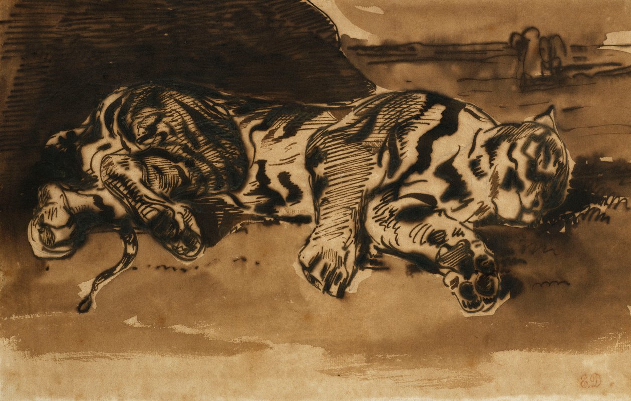 Tygrys w pozycji leżącej; Kanapa Tygrysa, 1858 autorstwa Ferdinand Victor Eugene Delacroix