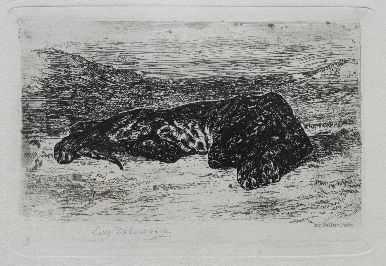 Tygrys leżący na pustyni. autorstwa Ferdinand Victor Eugene Delacroix