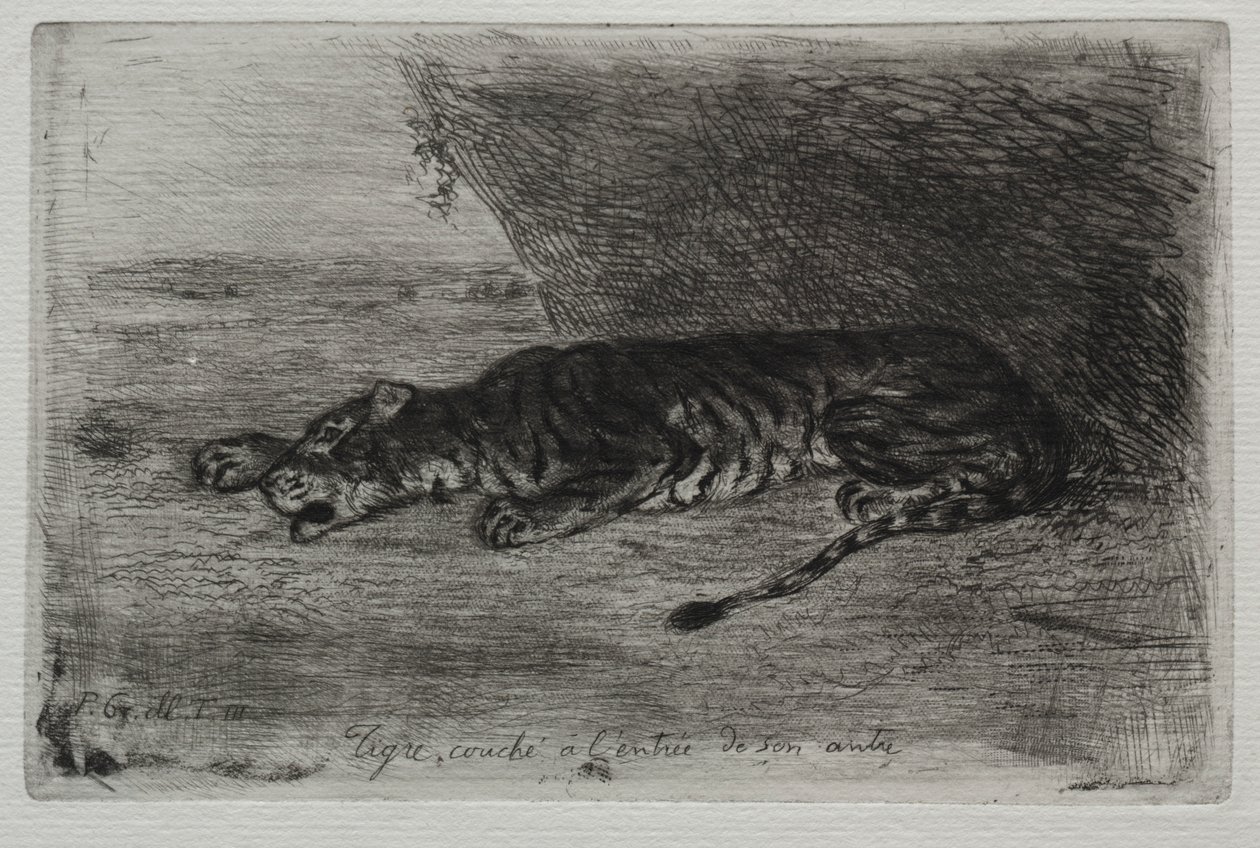 Tygrys leżący przy wejściu do swojego legowiska. autorstwa Ferdinand Victor Eugene Delacroix