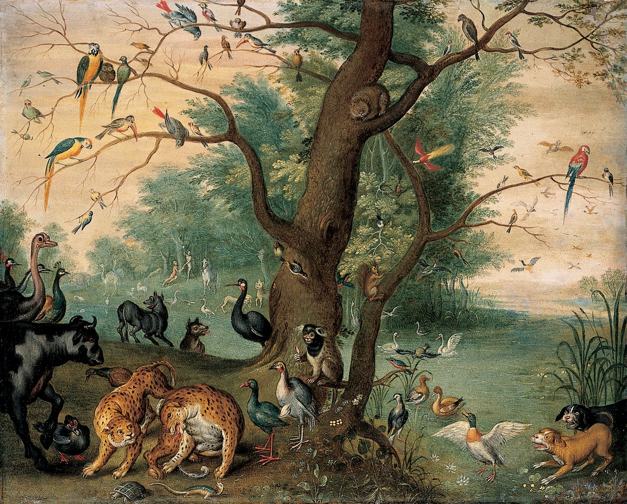 Zwierzęta i ptaki w ogrodzie Eden autorstwa Ferdinand van Kessel