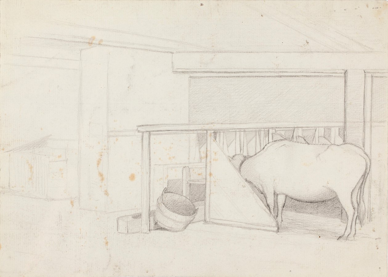 Cielę w rozpadlinie drzewa autorstwa Ferdinand von Wright