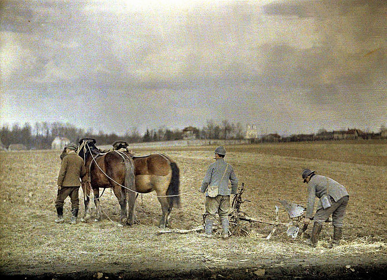 Rolnik i dwóch francuskich żołnierzy orki z dwoma końmi, Marne, Francja, 1917 (autochrom) autorstwa Fernand Cuville