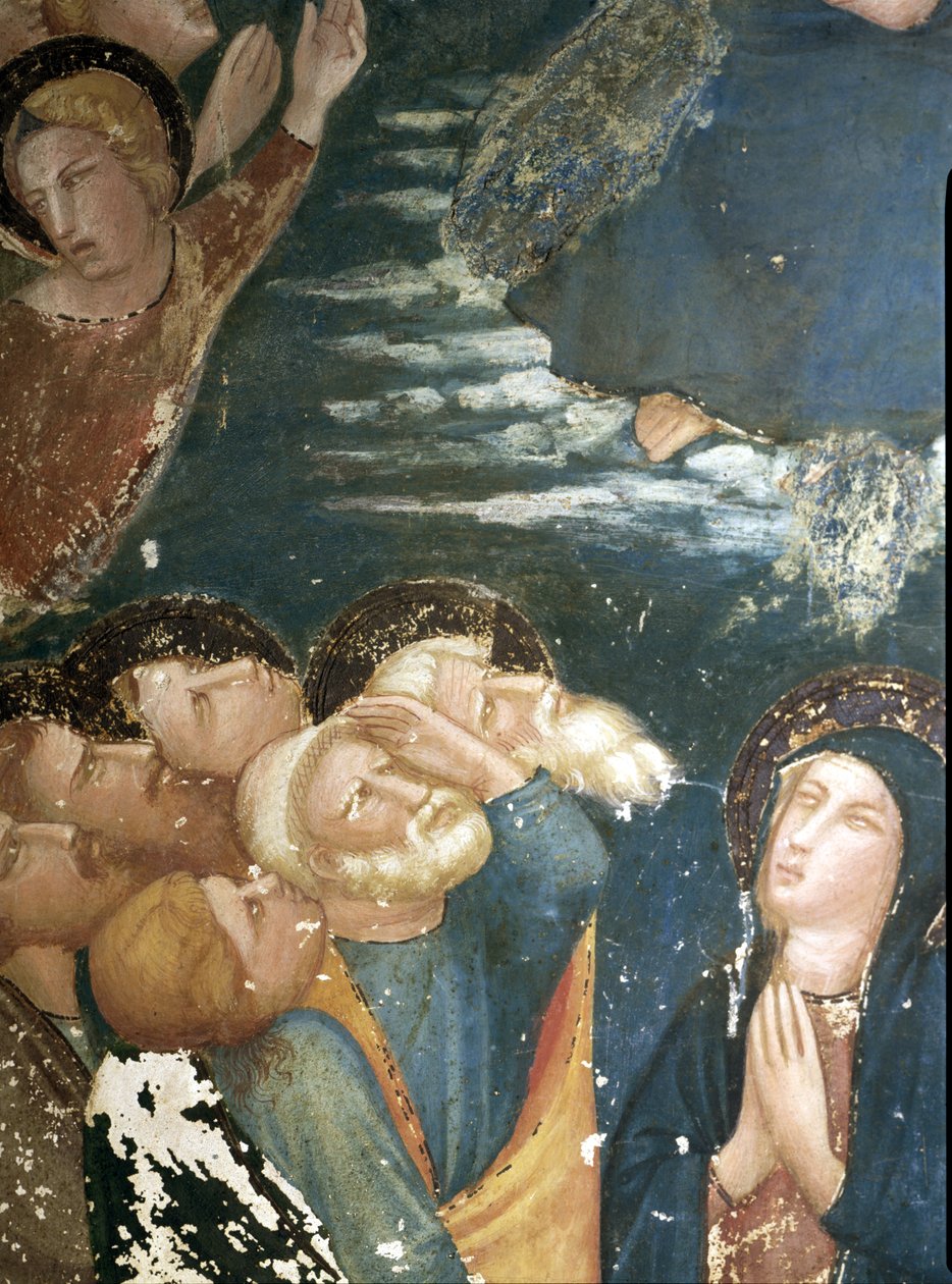  autorstwa Ferrer Bassa