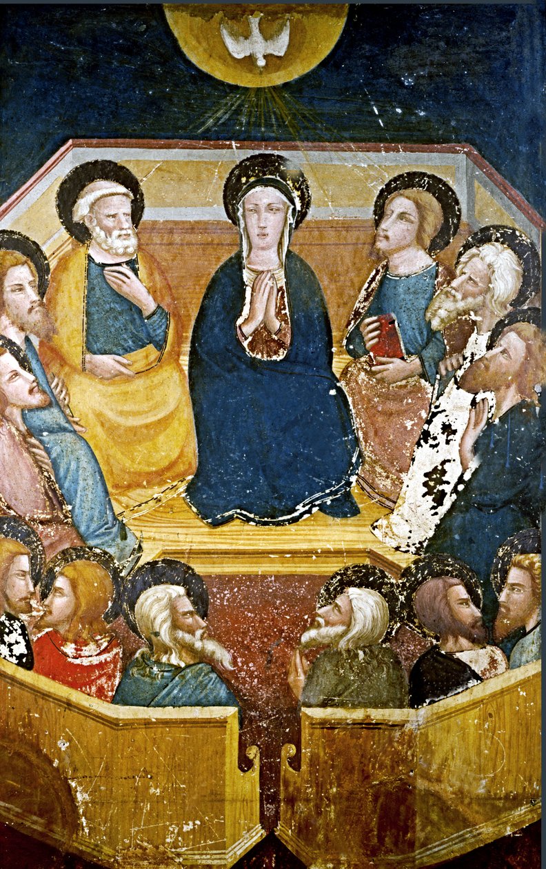  autorstwa Ferrer Bassa