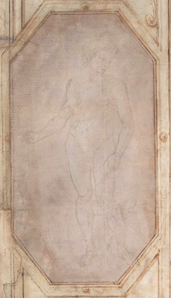 Stojąca naga młodzież autorstwa Filippino Lippi