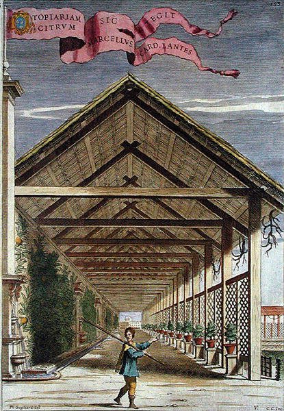 Zadaszony ozdobny ogród cytrusowy, z „Hesperydów” Giovanniego Battisty Ferrariego, grawerowany przez Camillo Congio (fl.1630), opublikowany 1646 (kolorowa grawerunek) autorstwa Filippo (after) Gagliardi