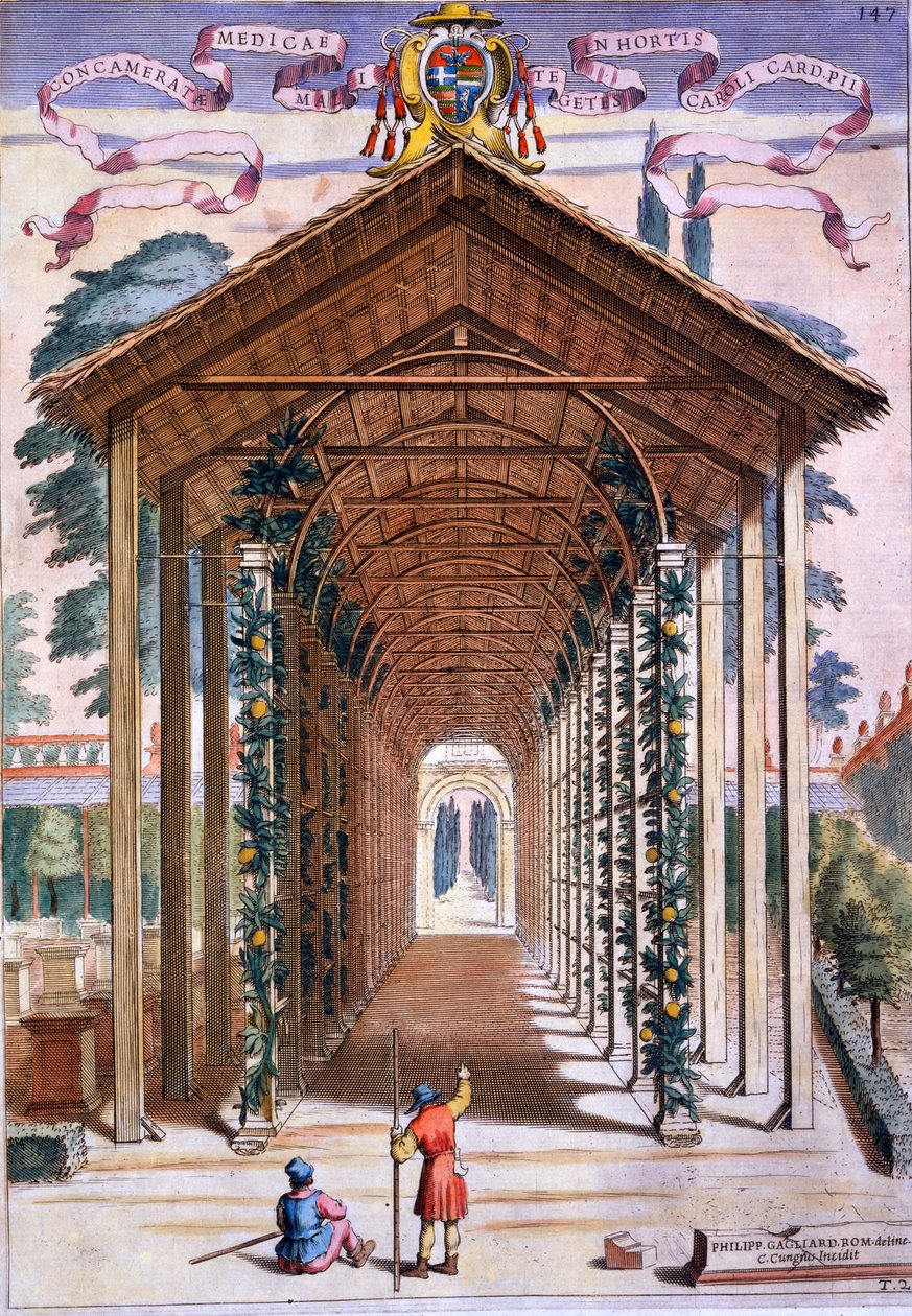 Trellized Covered Walkway, z „Hesperyd” Giovanniego Battisty Ferrari, grawerowane przez Camillo Congio (fl.1630), opublikowane 1646 autorstwa Filippo Gagliardi