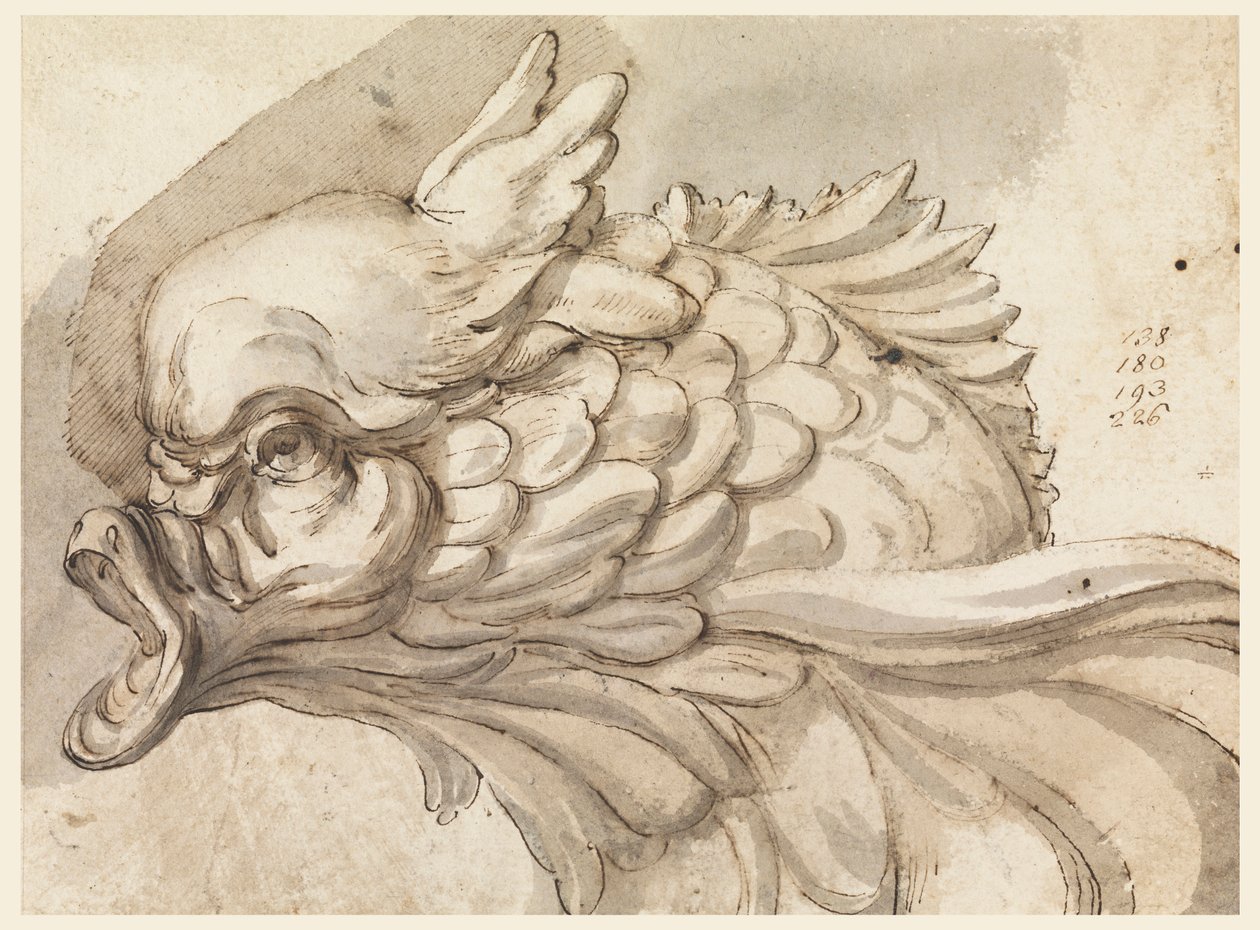 Rysunek, Głowa delfina, ca. 1775 autorstwa Filippo Marchionni