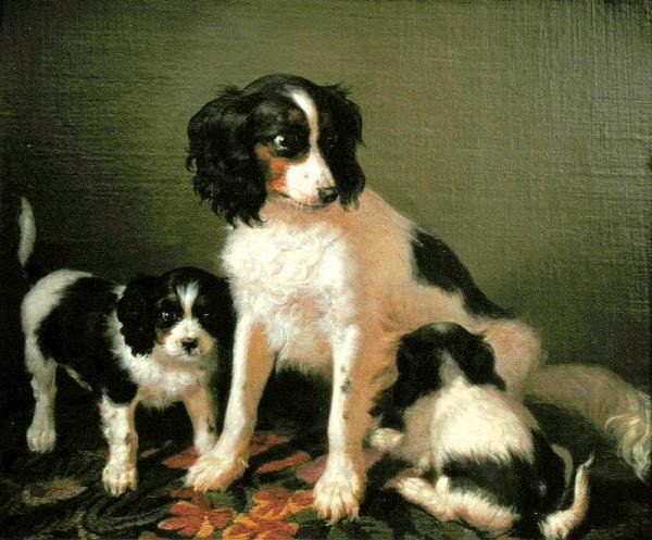 Spaniel z dwoma szczeniakami (olej na płótnie) autorstwa Filippo Palizzi