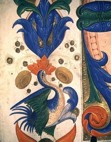 Mszał 515 1r Zoomorficzna bordiura listkowa, fragment z Księgi Chóralnej sporządzony przed 1449 r. (detal z 88903) autorstwa Filippo di Matteo Torelli