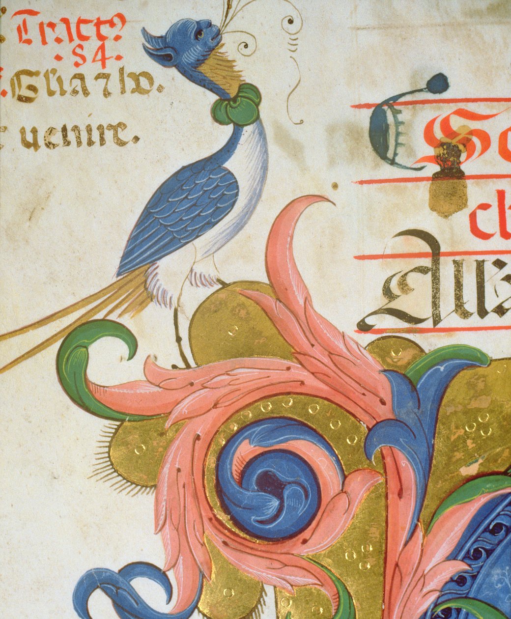 Mszał 515 f.28v Fantastyczny ptak z ludzką głową stojącą na rogu historycznego inicjału, szczegół z księgi chóralnej wykonany przed 1449 r. welin szczegół z 56724 autorstwa Filippo di Matteo Torelli