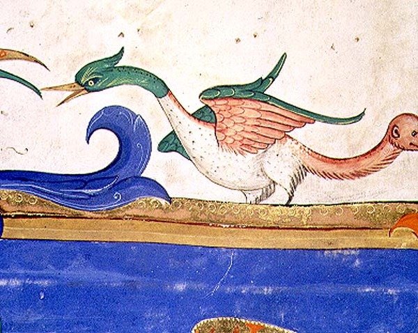 Mszał 515 f.72v Fantastyczny ptak z ogonem o małpiej twarzy, fragment z Księgi Chóralnej wykonany przed 1449 r. (detal 56719) autorstwa Filippo di Matteo Torelli