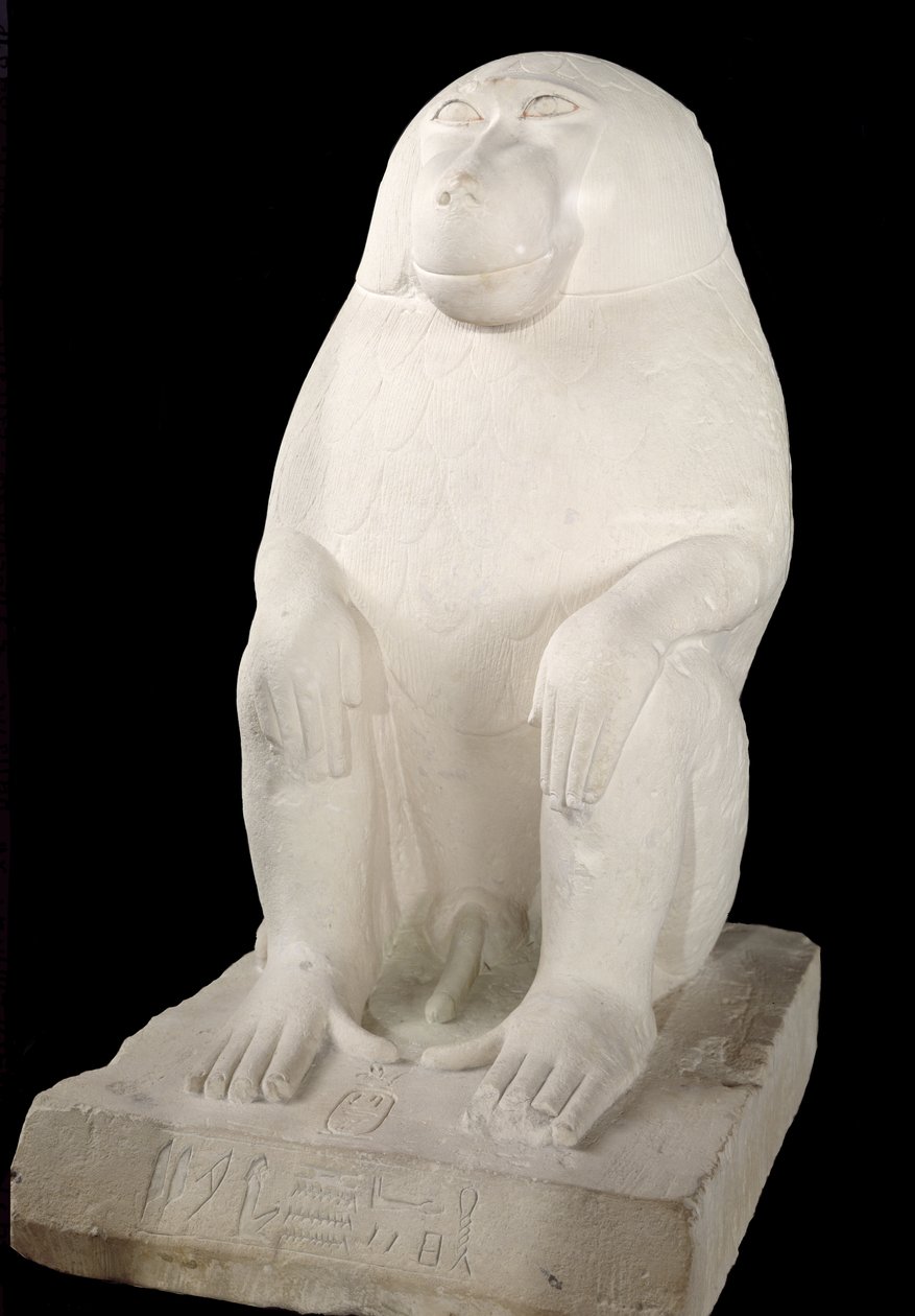 Pawian, Państwo Środka, prawdopodobnie 7. dynastia (wapień) autorstwa First Intermediate Period Egyptian