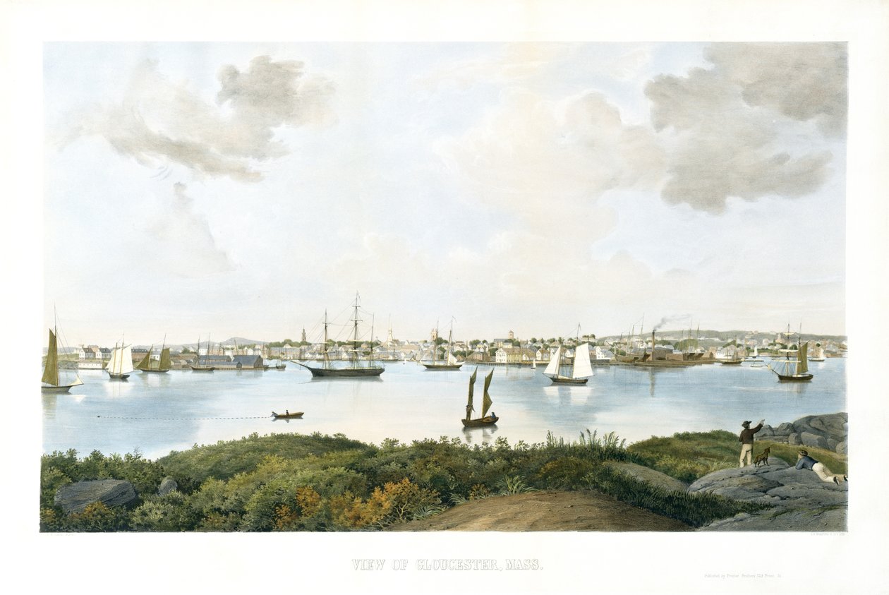 Widok Gloucester, Mass., c. 1856 (chromolitografia) autorstwa Fitz Henry (attr.to) Lane